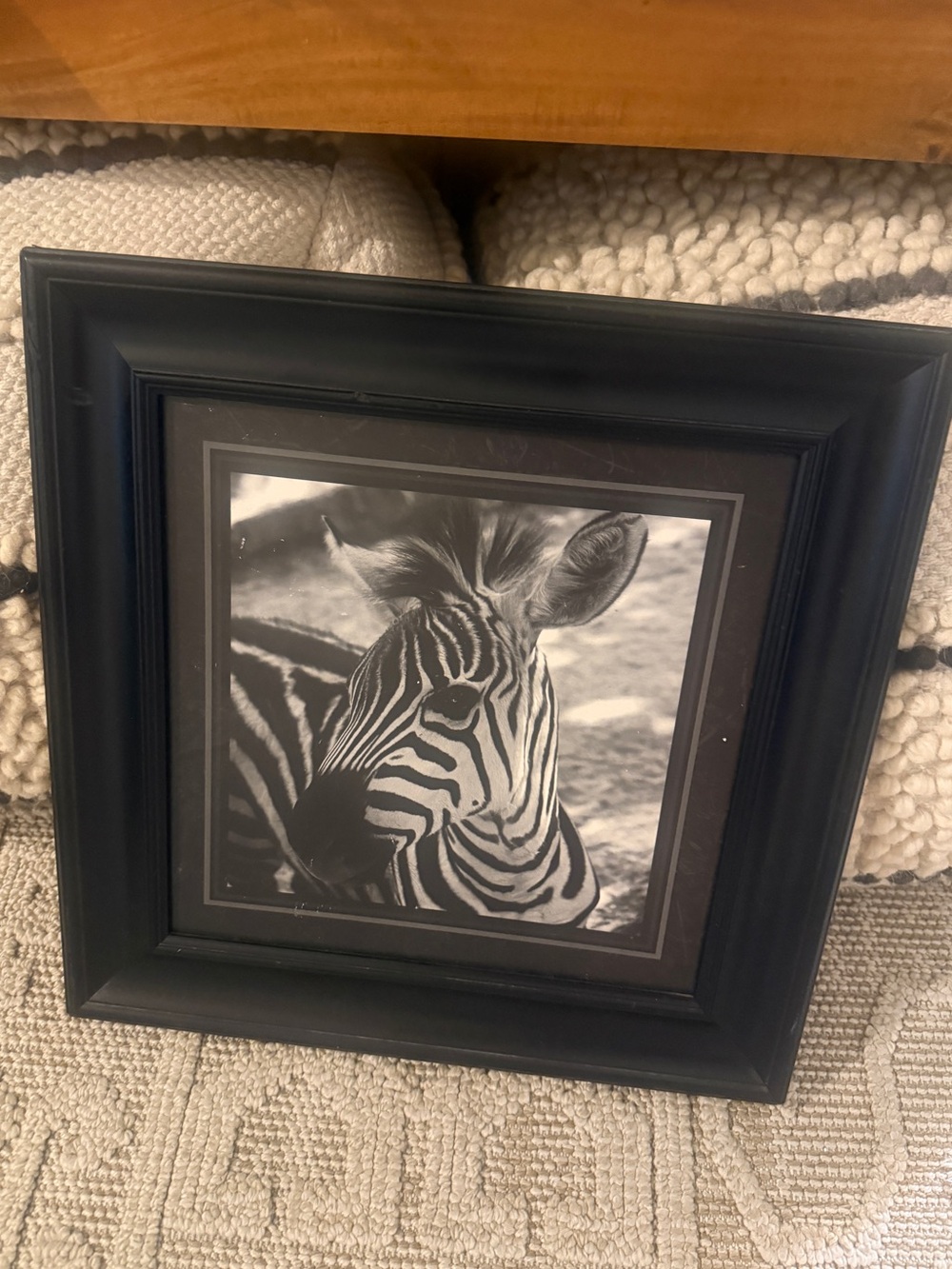 Vintage Black Framed photograph African Zebra Wall Art - Home Accents 16x16”